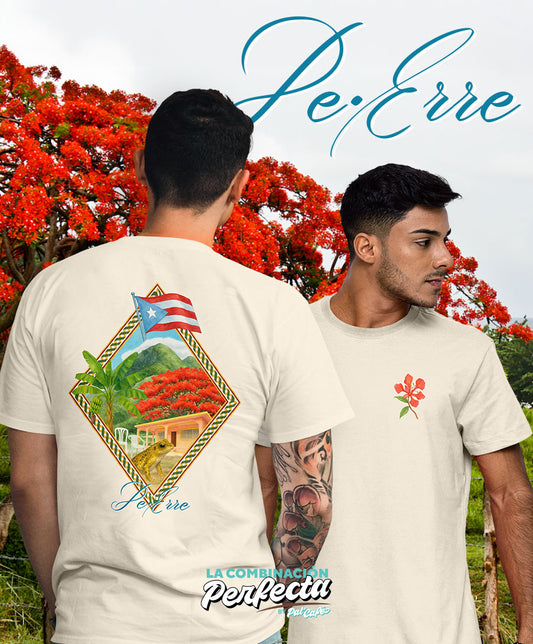 Entre Montañas y Flamboyanes